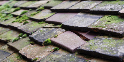 Hallatrow roof repair costs